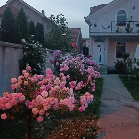 Marija Sa Besplatnim Parkingom