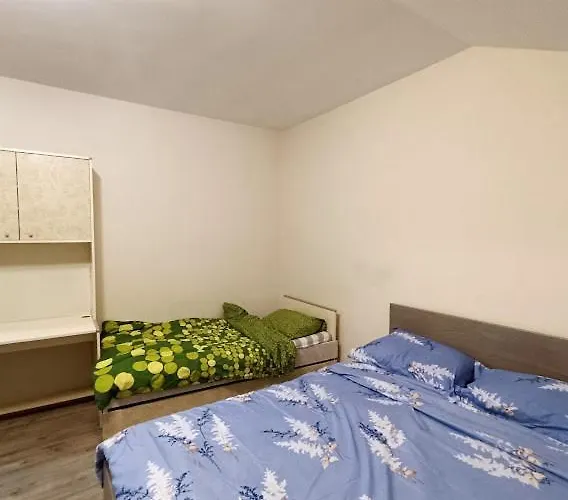 Marija Sa Besplatnim Parkingom Belgrád