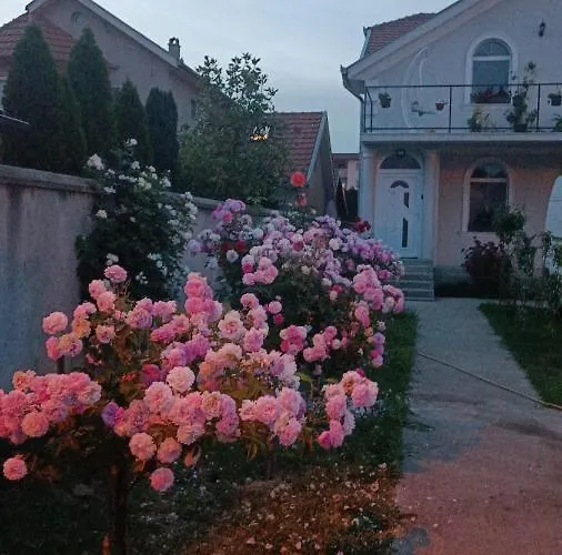 Marija Sa Besplatnim Parkingom